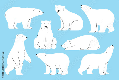 polar bear character collection cartoon poses white bear illustrations for projects