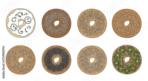 Vector illustration set of various bagels with different toppings.