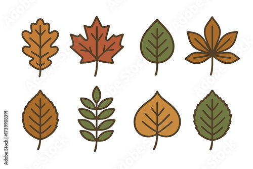 Collection of eight stylized seasonal foliage shapes from various tree species