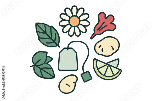 Natural ingredients and herbs surrounding a tea bag for organic beverage preparation
