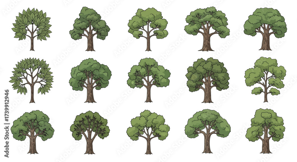 Fototapeta premium A diverse collection of illustrated green deciduous trees.