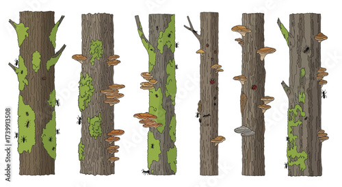 Set of six illustrated tree trunks with moss fungi and insects.