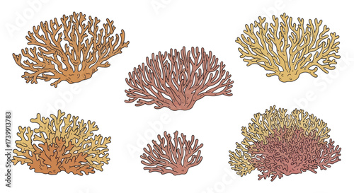 A set of six colorful handdrawn coral illustrations isolated on a white background.