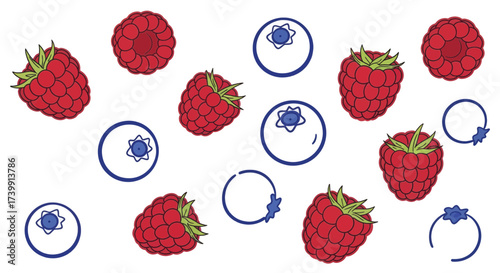 Vibrant collection of illustrated raspberries and blueberries on a white background.