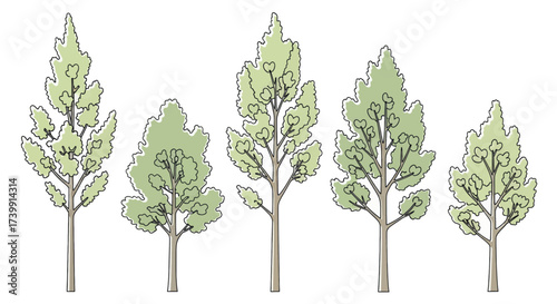 Collection of five stylized deciduous trees with green foliage.