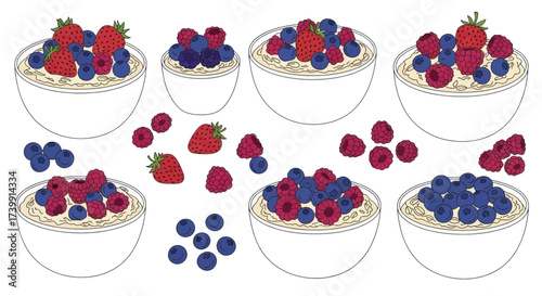 Set of oatmeal bowls with fresh mixed berries illustration.