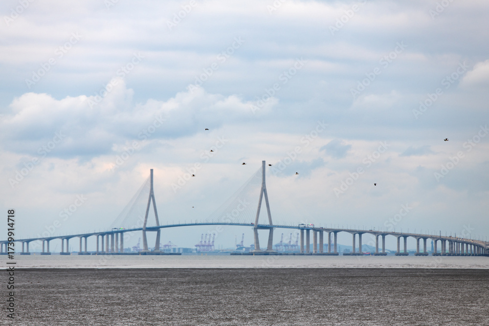 Fototapeta premium flying seagulls against the suspension bridge