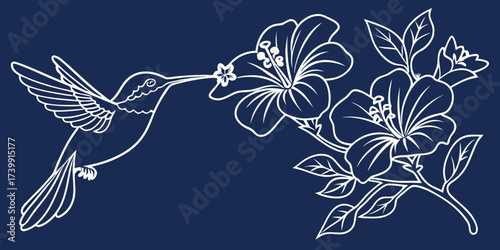 Minimalist one-line drawing of hummingbird sipping nectar from hibiscus blooms, outline vector design on blue background.