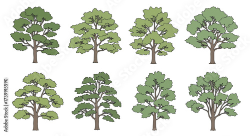 Collection of eight stylized deciduous trees with green leaves.