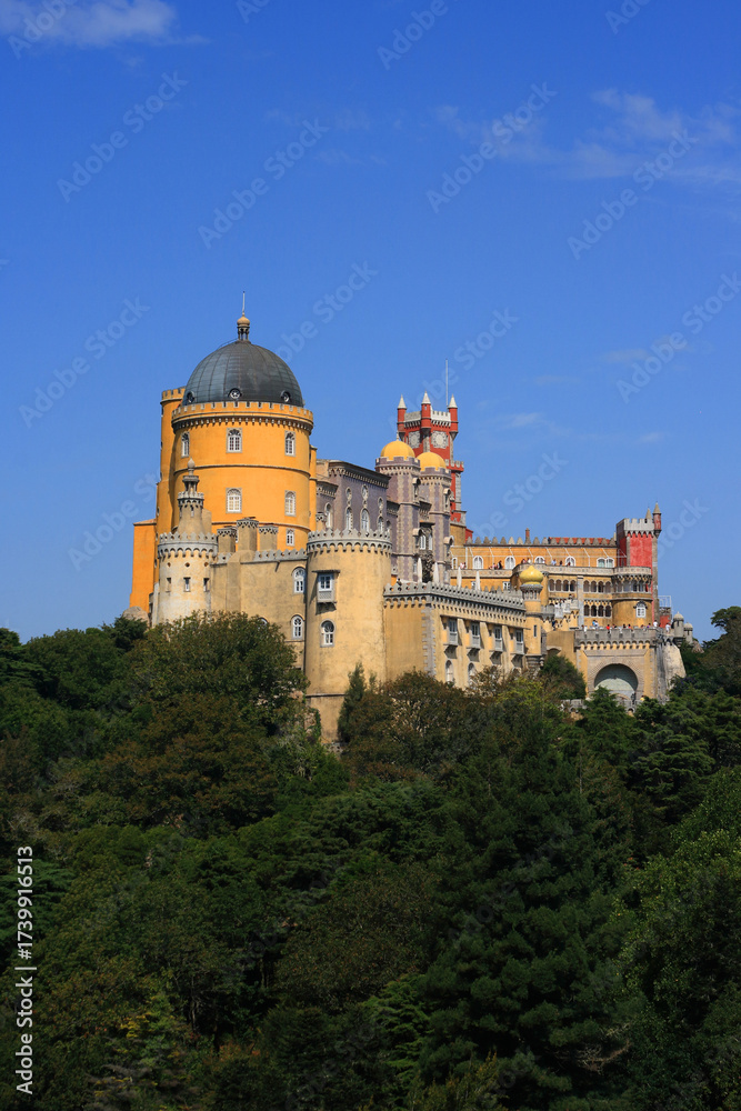 Obraz premium Portugal, Lisbon, Sintra, Palacio da Pena - National Palace of Pena and park. National monument.