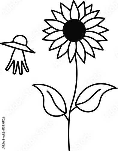 sunflower field with scarecrow in style vector illustration on transparent background