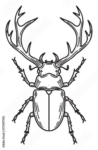 Detailed black outline of a stag beetle with large antler-like mandibles, showing its segmented body and intricate leg structure.