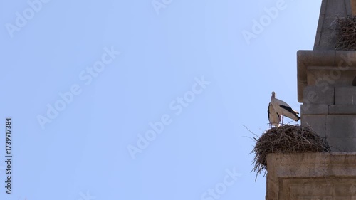 Stork nesting on a Historic Monument in Alcalá de Henares, Spain