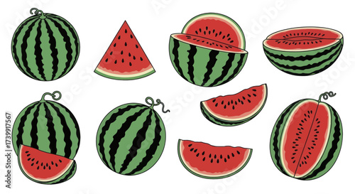 Set of fresh watermelon fruit illustrations isolated on white.