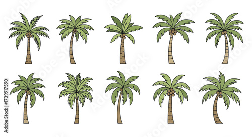 Collection of cartoon palm trees with coconuts isolated on white background.
