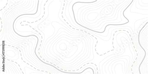 Abstract topo contour map on white background, Topographic map Topographic contour lines map seamless pattern. Geographic map conceptual design. Elegant background for presentations