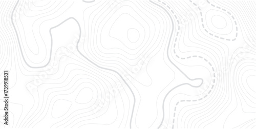 Abstract topo contour map on white background, Topographic map Topographic contour lines map seamless pattern. Geographic map conceptual design. Elegant background for presentations