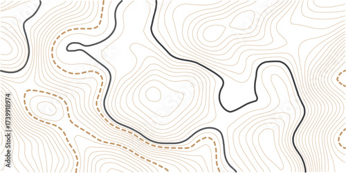 Topographic gold luxury map background. Geographic abstract pattern. The topo contour or wallpaper. Mountain trail terrain or path. Vector illustration.