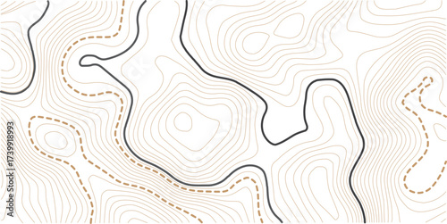 Topographic gold luxury map background. Geographic abstract pattern. The topo contour or wallpaper. Mountain trail terrain or path. Vector illustration.