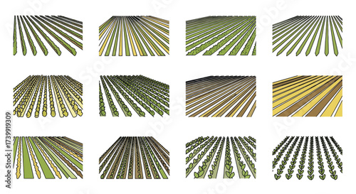 Set of twelve stylized agricultural crop field illustrations.