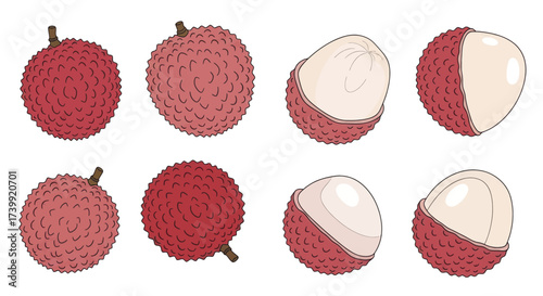 Set of illustrated lychee fruits whole and peeled.