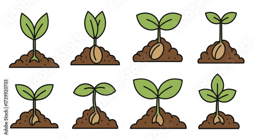 Plant growth stages icon set from seed to sprout.