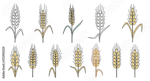 Set of wheat ears icons in various graphic styles.