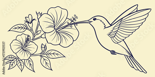 Minimalist one-line drawing of hummingbird sipping nectar from hibiscus blooms, outline vector design on yellow background.