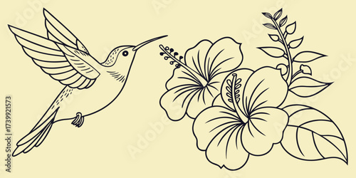 Minimalist one-line drawing of hummingbird sipping nectar from hibiscus blooms, outline vector design on yellow background.