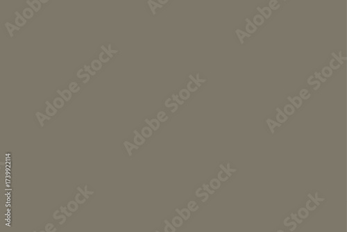 Solid Neutral Olive Gray Background Texture