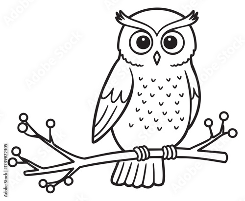Black outline drawing of a wise owl perched on a branch with berry-like buds, showcasing intricate feather patterns and large, expressive eyes.
