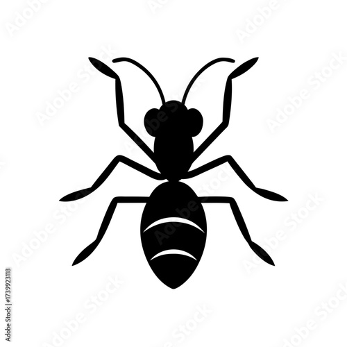 Silhouette drawing of a black ant insect on transparent background