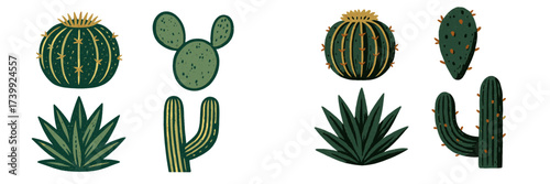 Stylized set of green desert flora featuring different cactus and succulent forms and vibrant textures
