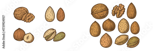 Delicious and nutritious assortment of healthy nuts including walnuts, almonds, hazelnuts, and pistachios, perfect for snacking or cooking