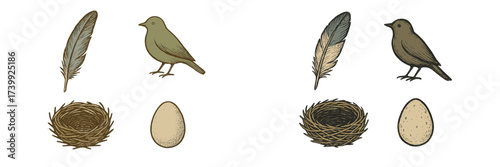 Assortment of natural bird, feather, nest, and egg elements with textured details and an earthy color palette