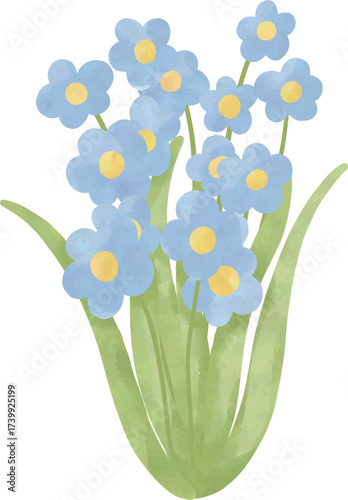 Watercolor blue forget-me-not flowers illustration
