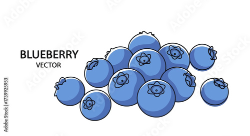 Vector illustration of a pile of fresh blueberries isolated on a white background.
