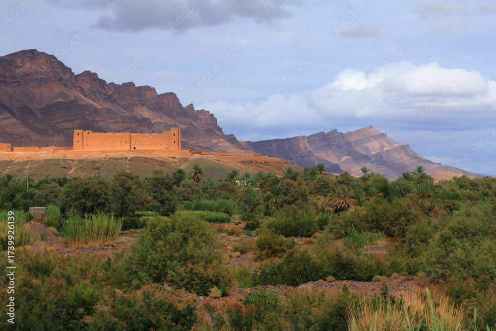 Fototapeta premium Morocco, Draa Valley, Zagora. Fertile river valley - famous for its date cultivation with date palms in the foreground. The arid Saghro mountains and an old adobe built ksar in background.