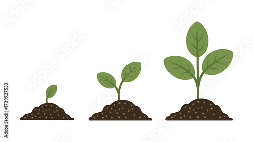 Stages of Plant Growth Depicted in Vector Art Representing Development and Agricultural Cycle on White Background