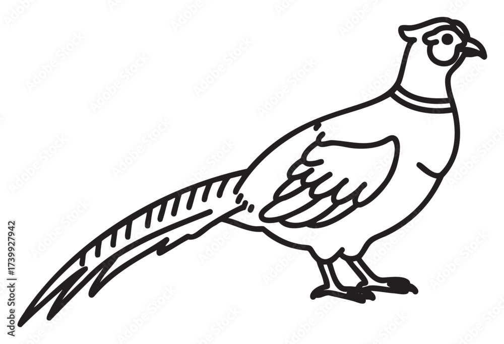 Obraz premium Black outline drawing of a pheasant in a side view, featuring detailed feathers and a distinctive long tail.