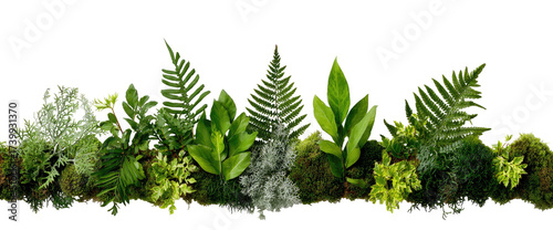 Green foliage arrangement with ferns and moss
