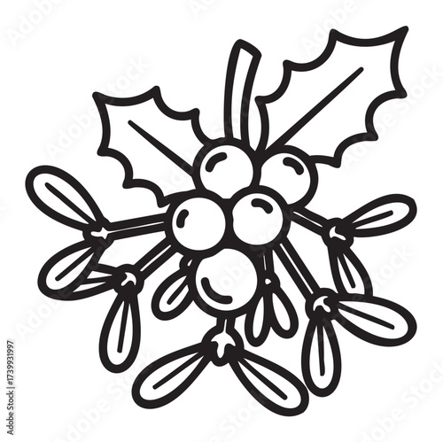 Black outline of a mistletoe with holly leaves and berries, featuring detailed linear design suitable for holiday and botanical themes.