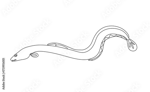 Minimal continuous one line drawing of a long eel-like fish (Unangi), simple aquatic animal illustration with flowing curves and clean monochrome style, Vector Editable stroke