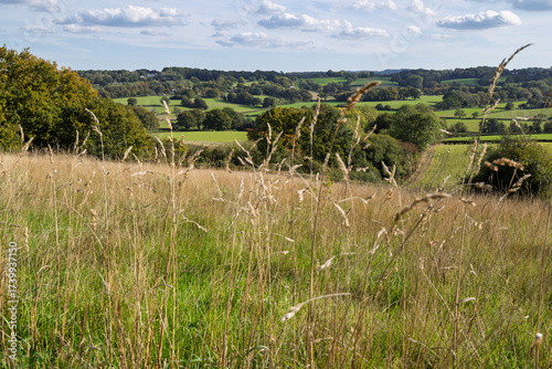 View over the High Weald countryside, Burwash, East Sussex, England, United Kingdom, Europe