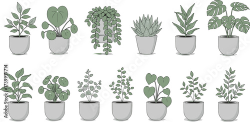 Potted plant illustrations, indoor greenery, decorative foliage, botanical diversity, houseplants clipart, garden design, nature element, educational drawing, home decor environment