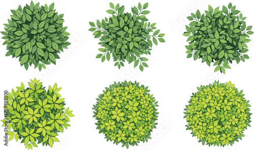 Top view bush illustration set, garden shrub foliage, landscape greenery clipart, decorative plant design, eco nature vegetation, outdoor environment vector