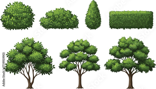 Tree and hedge illustrations, garden plants, foliage diversity, landscape design, botanical clipart, decorative greenery, nature element, park environment, architectural planning