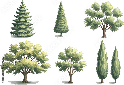 Tree illustration set, evergreen conifer, deciduous foliage, cypress trees, botanical diversity, landscape design, seasonal greenery, nature clipart, park garden environment