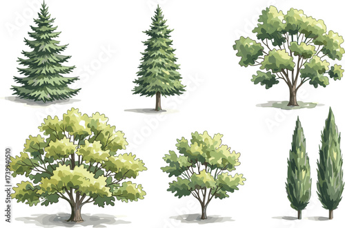 Tree illustration set, evergreen conifer, deciduous tree, foliage diversity, landscape design, botanical clipart, seasonal greenery, nature collection, park garden environment