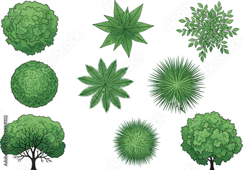 Tree top view, side view plants, foliage diversity, landscape design, architectural element, garden layout, botanical illustration, greenery clipart, environment planning